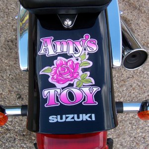 Amy's Toy