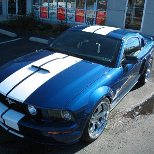 Mustang Stripes - 08