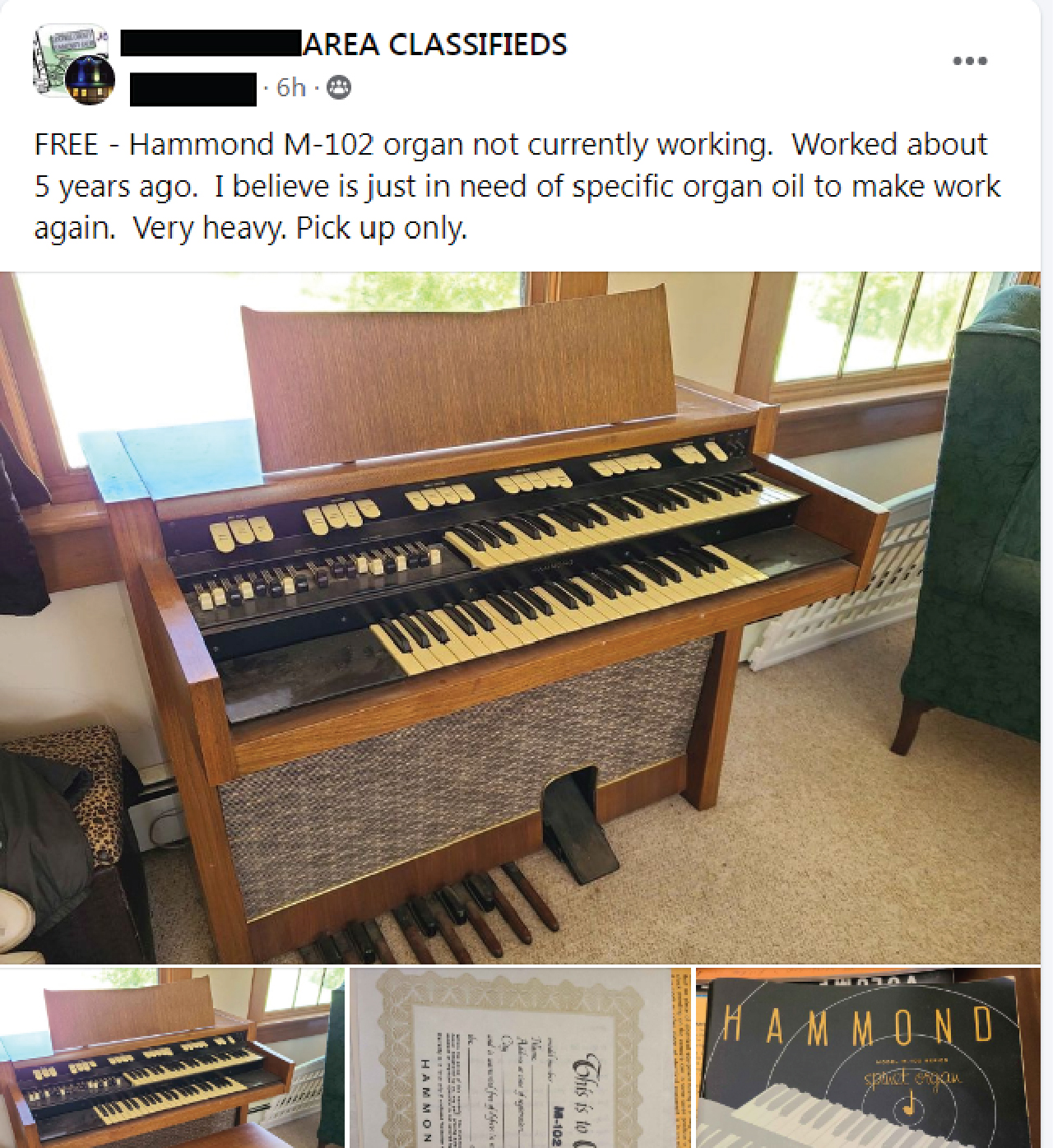 Organ.jpg