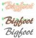 bigfoot2.png