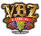 vbz-logo-4.png