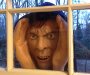 Scary-Peeping-Tom-Window-Prop-4.jpg
