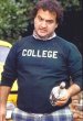 bluto-776723.jpg