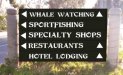 sportfishing sign.jpg