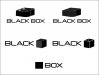 Black Box.jpg