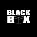 black box12.jpg