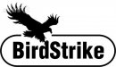 birdstrike.jpg