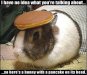 bunny-pancake.jpg