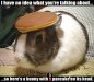 Bunny-Pancakes.jpg