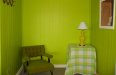 lime-green-walls.jpg