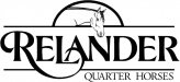 relander quarter horses7.jpg