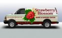 strawberryblossom1306846489.jpg