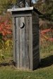 outhouse-.jpg