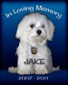 Jake In Loving Memory.jpg