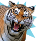 tiger-roar.png