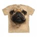 Pug T-shirt.jpg