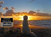 old-dog-sunset.jpg