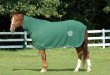 Horse-blanket 2.jpg