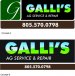 Galli's logo concepts.jpg