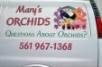 394Marys_Orchids_11.jpg