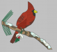 Cardinal.PNG