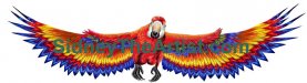 Macaw_ WingSpan_Prelim_Watermarked_PRINT.jpg