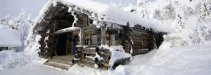 snowy log cabin.jpg