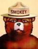 Smokeybearfan