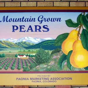 Mountain Grown Pears