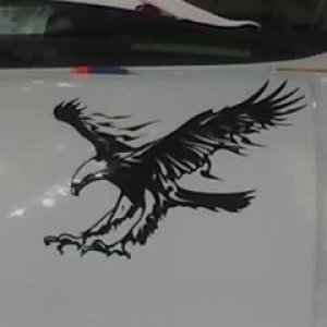 eagle on hood