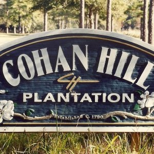 Cohan Hill