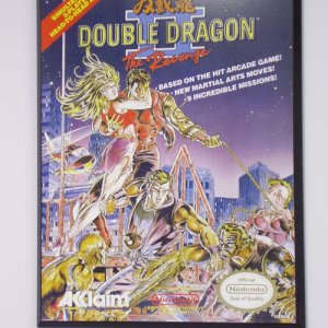 Double Dragon II Poster