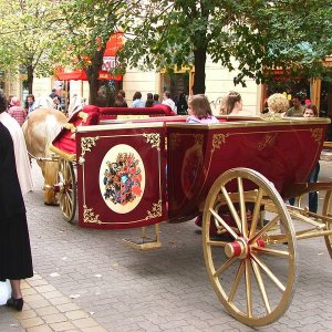 austrougarn empire horse wagon from last century..