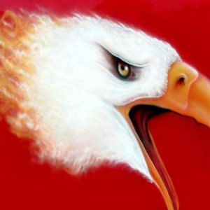 supernatural  airbrushed eagle