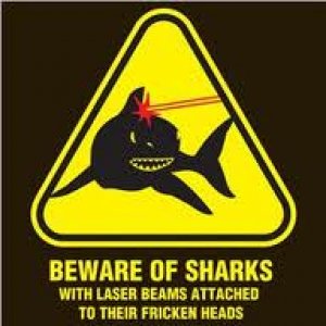 shark laser