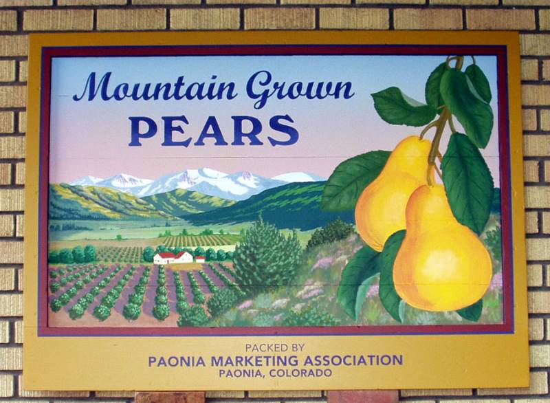 Mountain Grown Pears